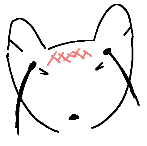 a fox holding it's head with red pain masks on itFeb 20 2022