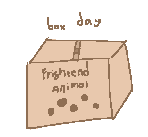 a cardboard box with air holes labeled "Frightend Animal", text above the box reads "box day"Apr 18 2022